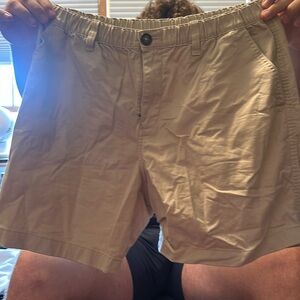 Chubbies Short